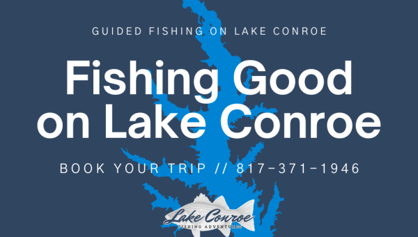 Lake Conroe Fishing Good by Licensed Professional Fishing Guide Collin Edwards of Lake Conroe Fishing Adventures